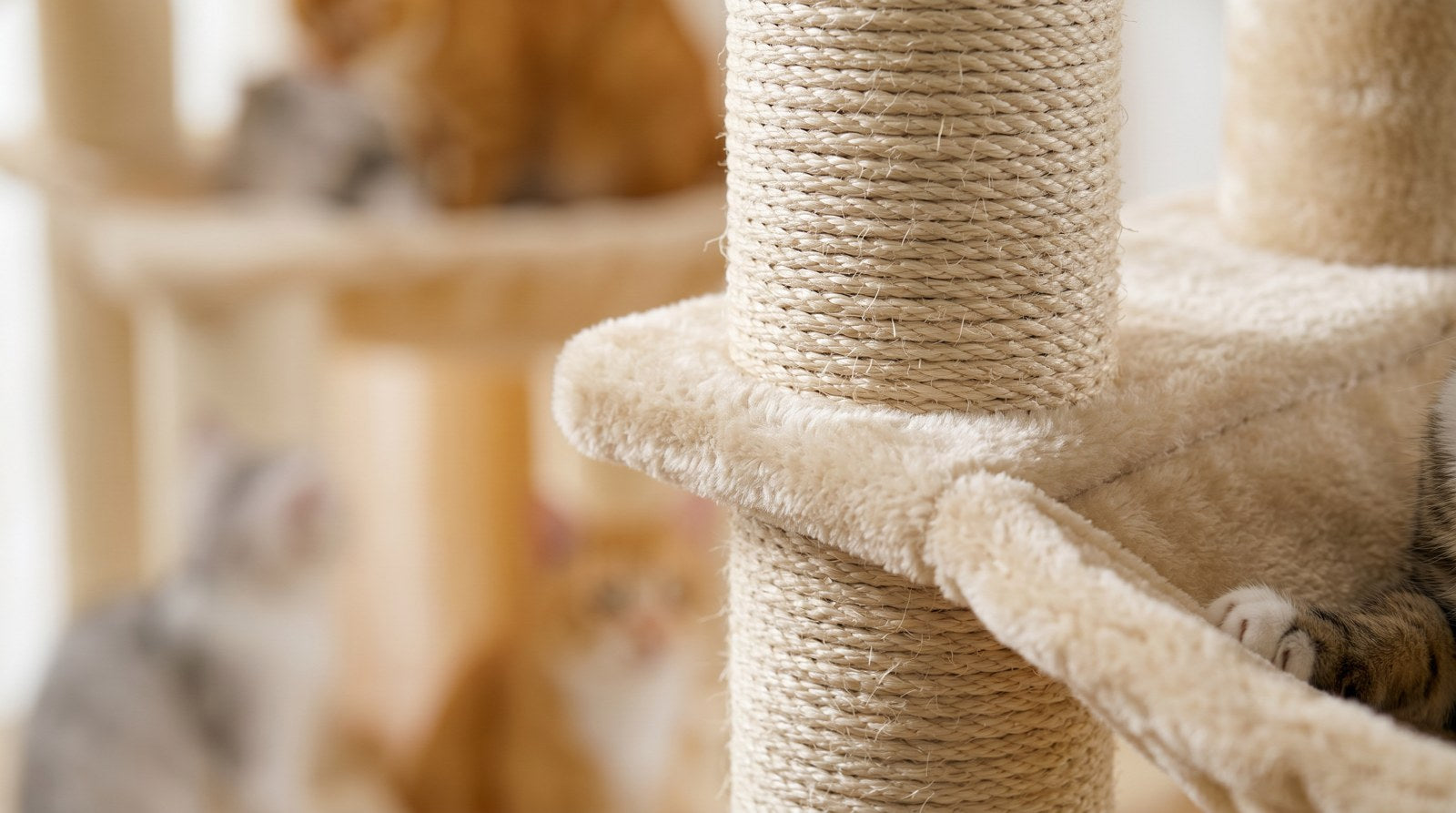 Sisal, la matière reine pour griffer sur un arbre à chat