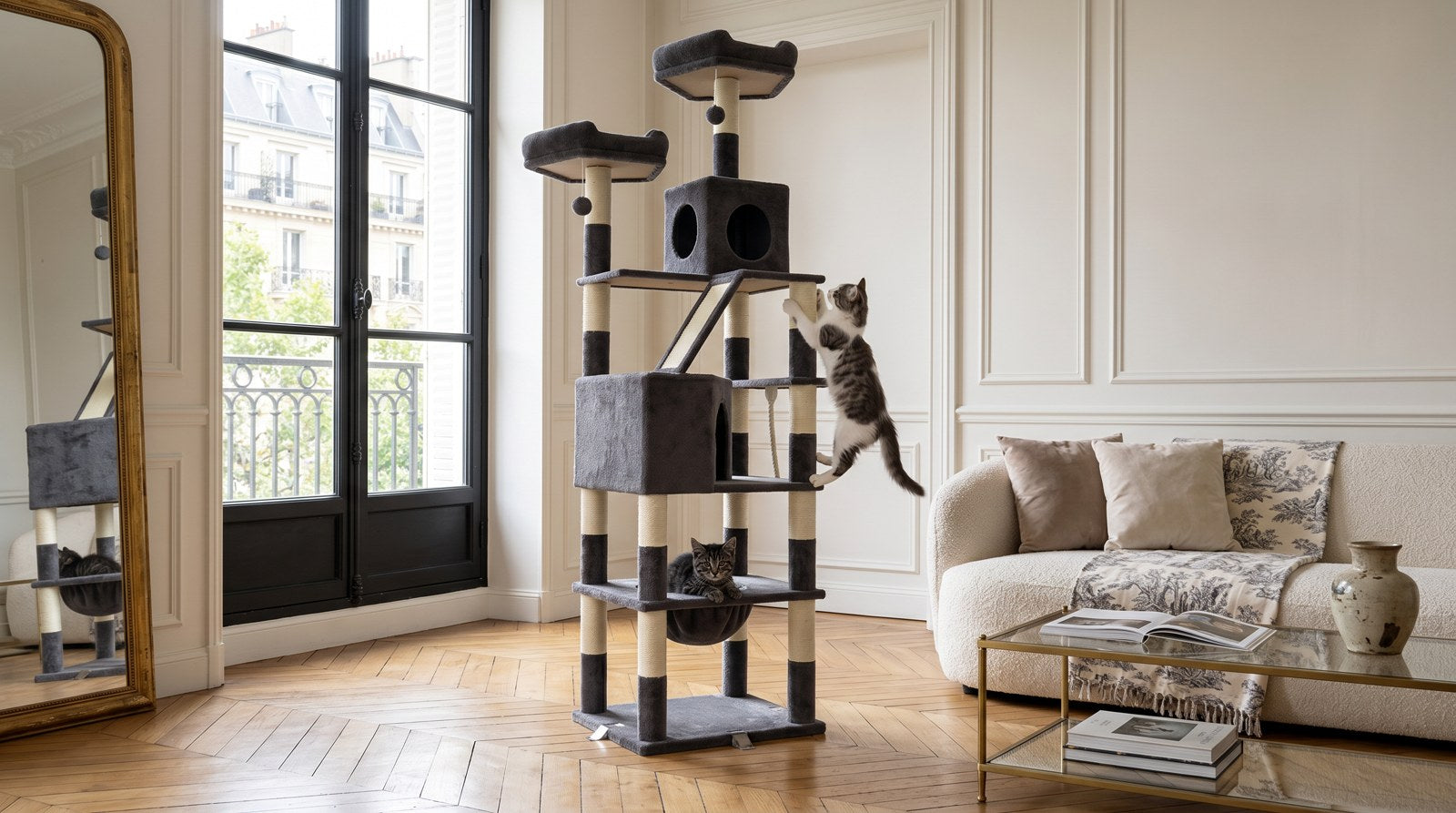 Accueillir un chaton : le kit de départ mobilier Image