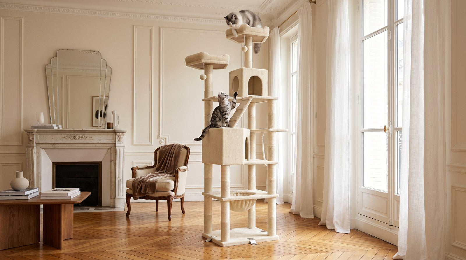 Préparer l'espace de son chat avant une absence