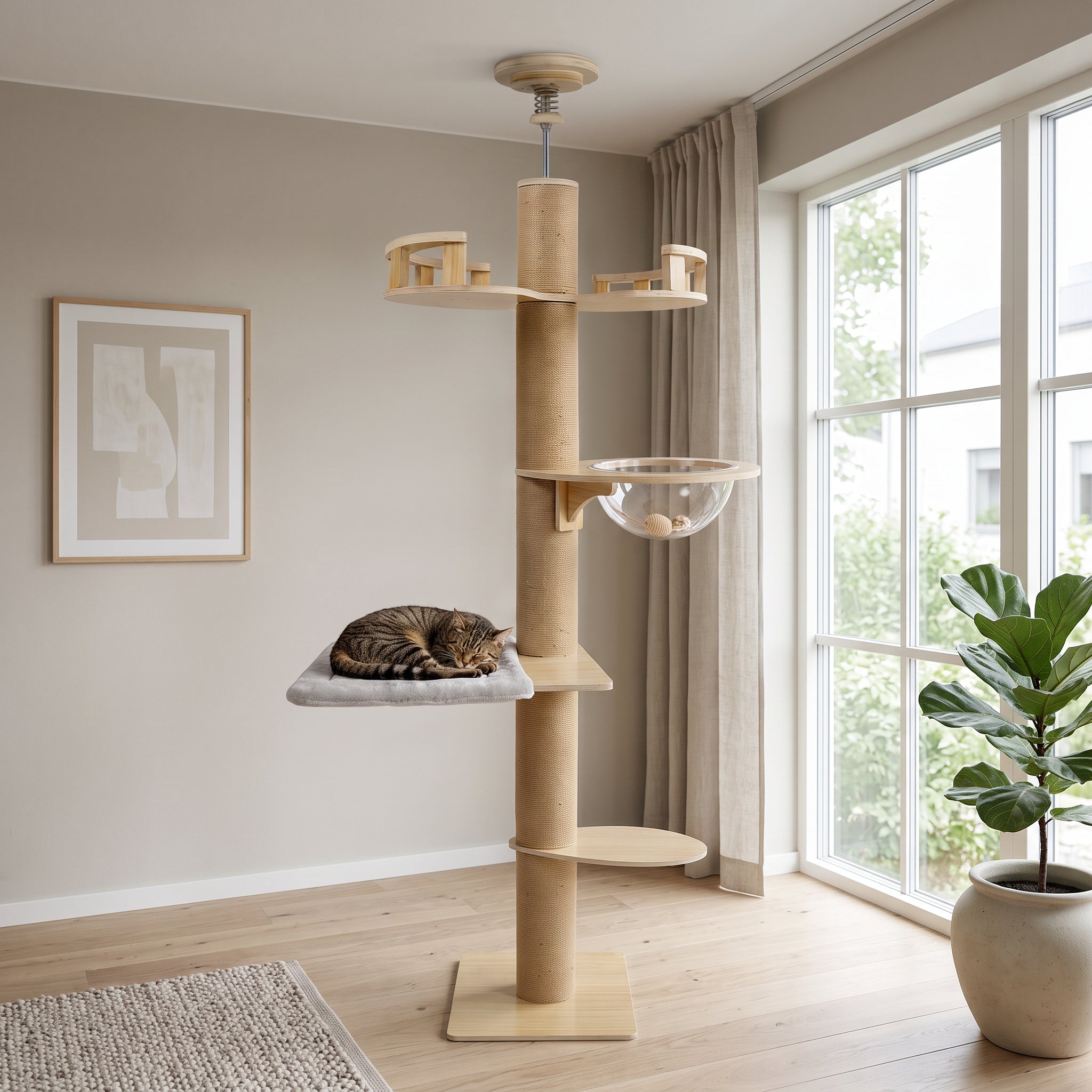 Arbre a chat sol-plafond bois naturel en situation dans un salon scandinave avec chat - Griffova Cime Image