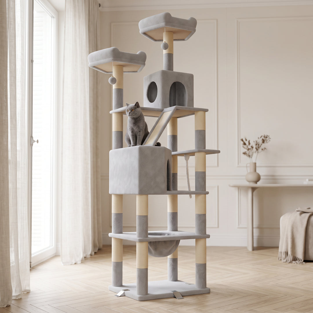 Arbre a chat XXL gris clair 208 cm en situation dans un salon parisien avec chat - Griffova