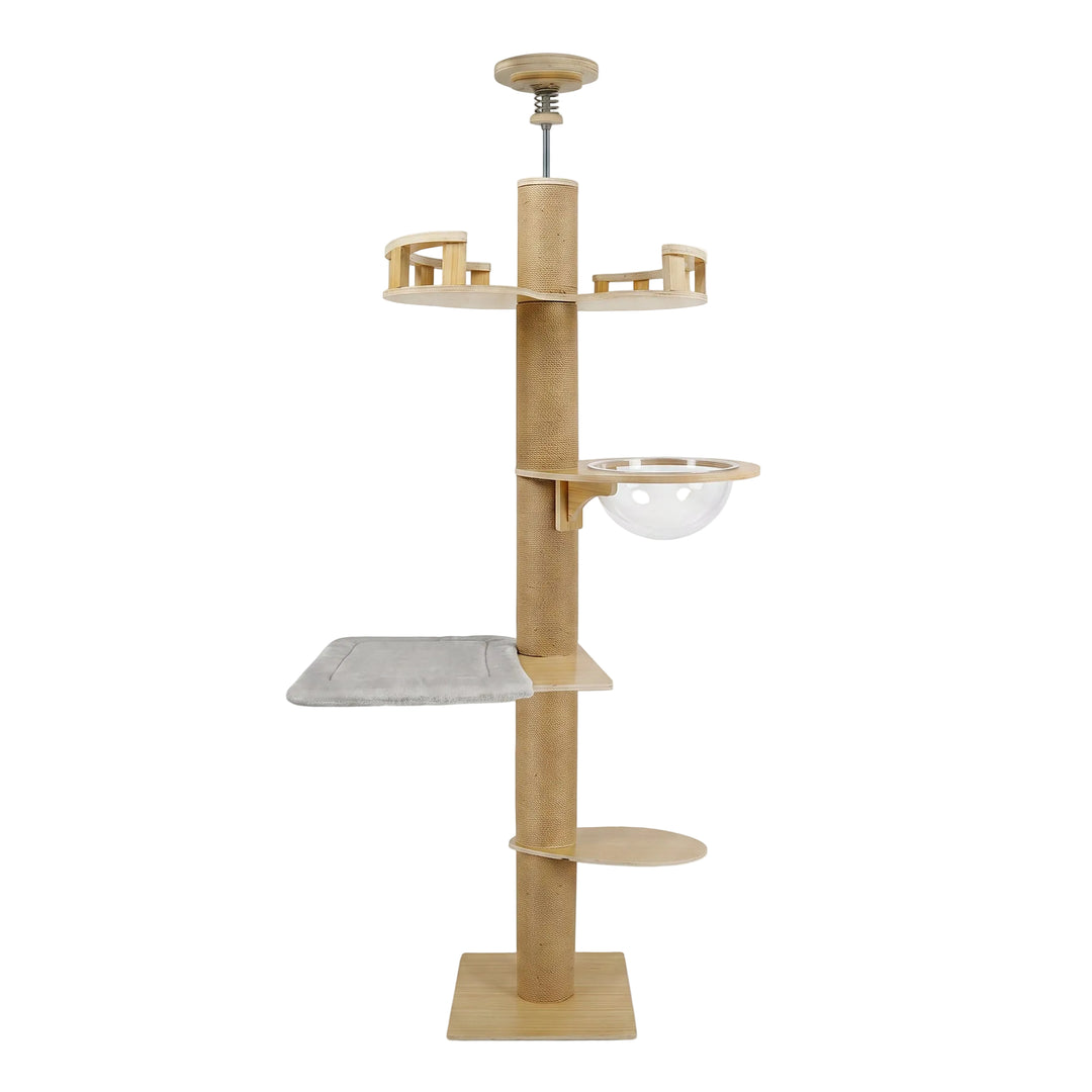 Arbre a chat design sol-plafond bois naturel avec capsule acrylique transparente sur fond blanc - Griffova Cime