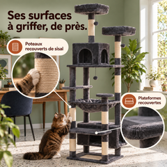 Arbre à chat en bois XL | Canopée — Anthracite / 184cm — vue 5