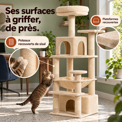 Arbre à chat en bois XL | Canopée — Beige / 136cm — vue 5