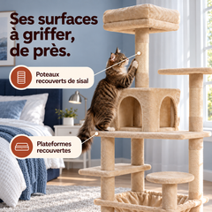Arbre à chat en bois XL | Canopée — Beige / 164cm — vue 5