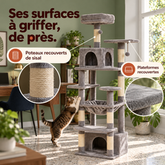 Arbre à chat en bois XL | Canopée — Gris / 164cm — vue 5