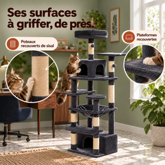 Arbre à chat en bois XL | Canopée — Anthracite / 164cm — vue 5