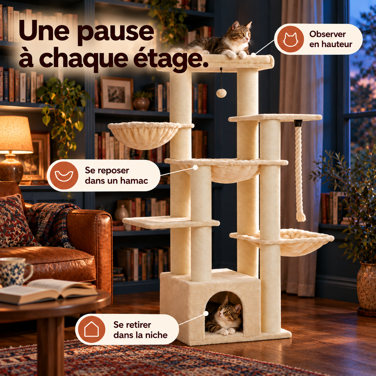 sequoia-beige — scène de vie illustrative