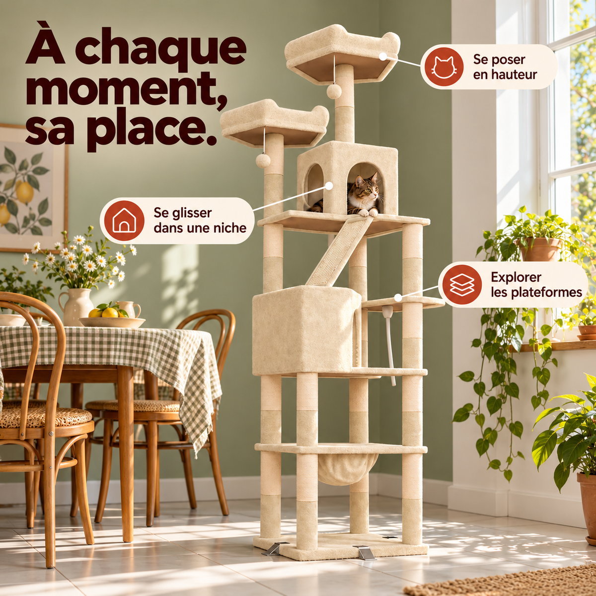 baobab-beige — scène de vie illustrative