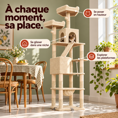 Arbre à chat en bois XXL | Baobab — Beige — vue 6