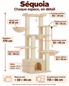 Arbre à chat Maine Coon XXL | Séquoia — Beige — vue 2