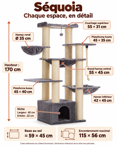 Arbre à chat Maine Coon XXL | Séquoia — Gris — vue 2