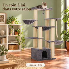 Arbre à chat Maine Coon XXL | Séquoia — Gris — vue 6