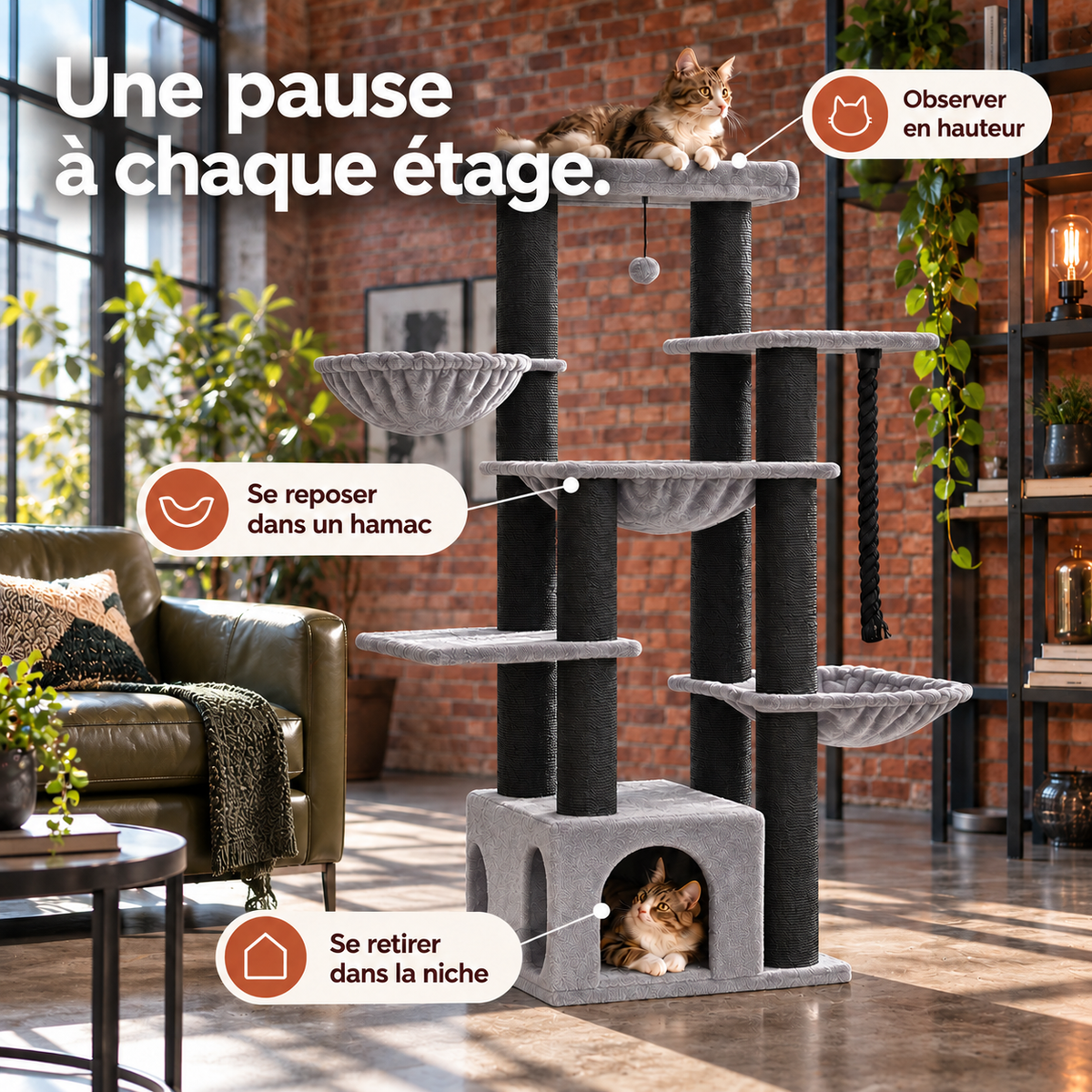 Griffova sequoia noir scene — présentation des détails du modèle