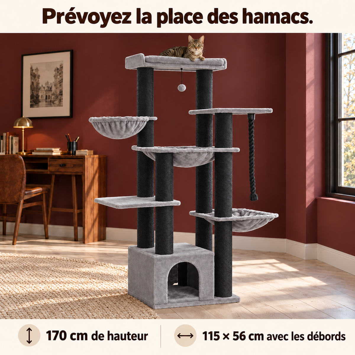 Séquoia gris et noir — encombrement dans une pièce