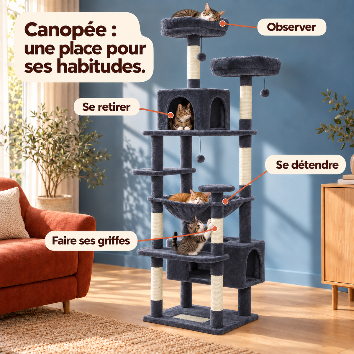 Canopee — Anthracite / 184cm : les usages illustrés.