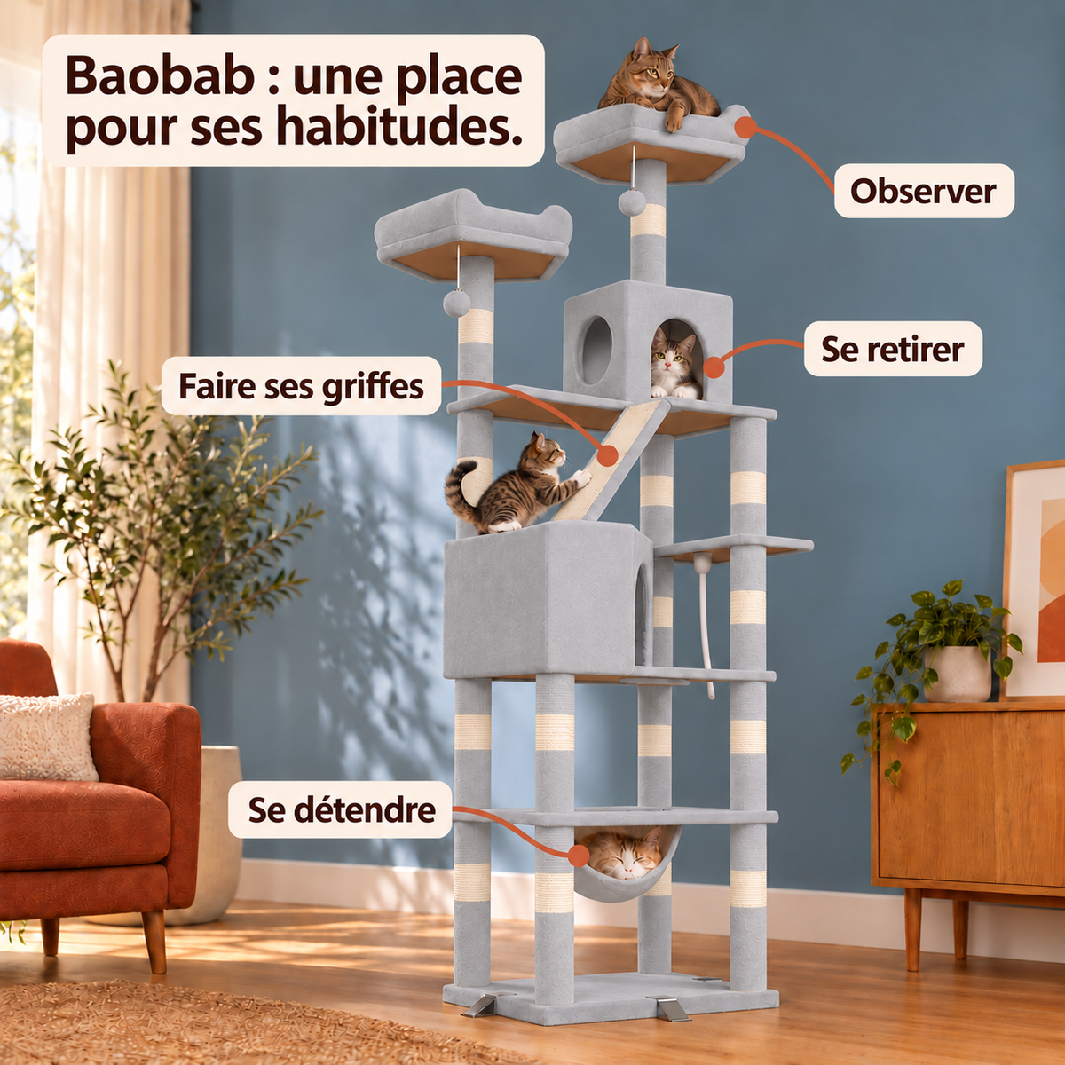 Baobab — Gris clair : les usages illustrés.