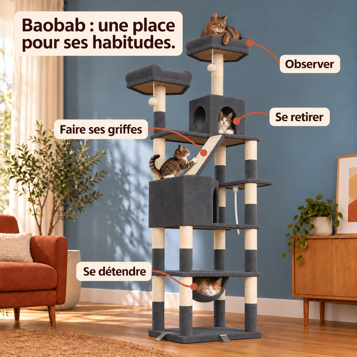 Baobab — Gris : les usages illustrés.