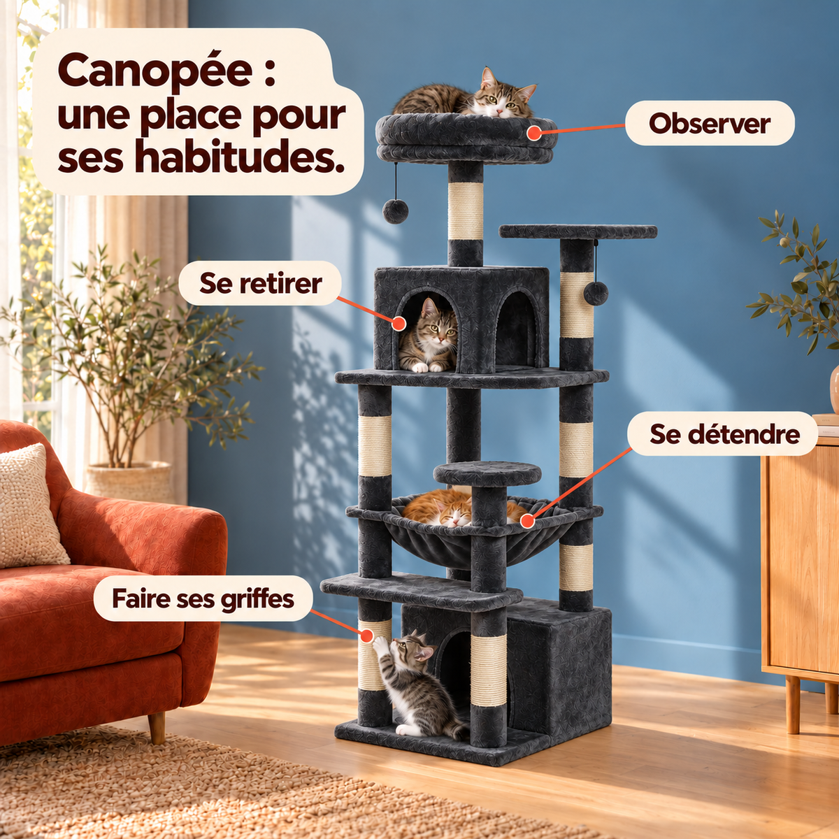 Canopee — Anthracite / 136cm : les usages illustrés.
