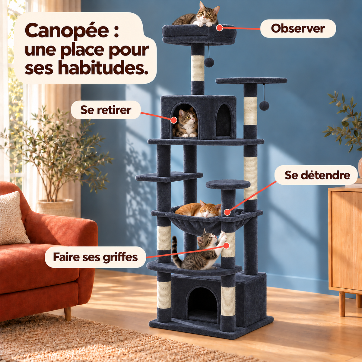 Canopee — Anthracite / 164cm : les usages illustrés.