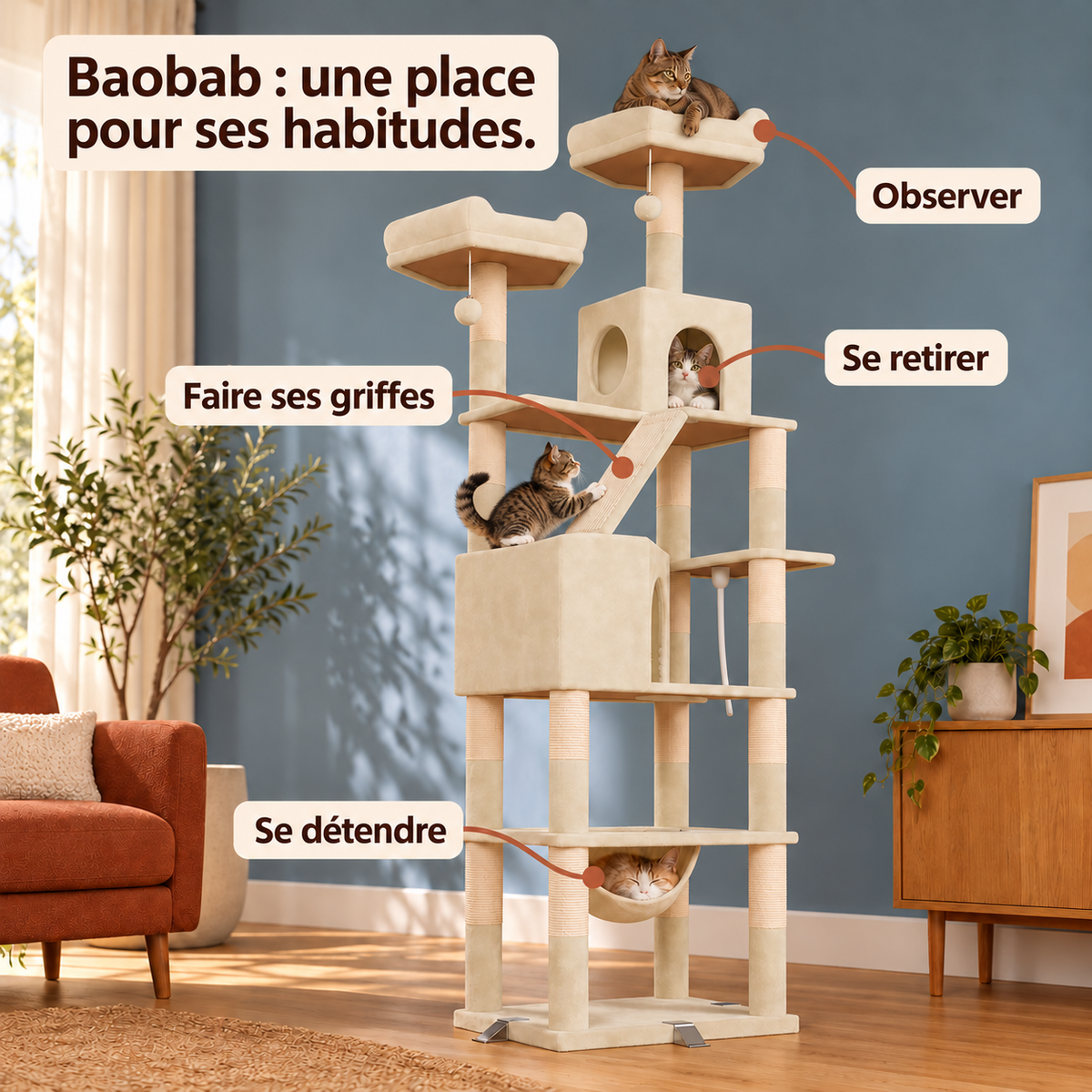 Baobab — Beige : les usages illustrés.
