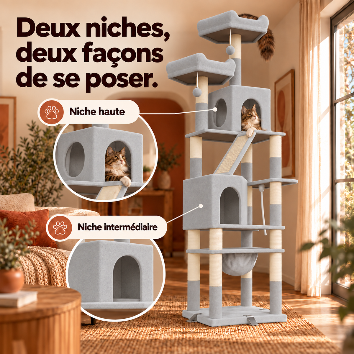 Griffova baobab-60056257397070 — vue explicative 3, illustration du produit
