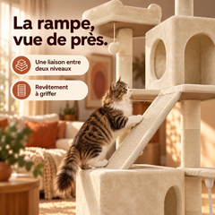 Arbre à chat en bois XXL | Baobab — Beige — vue 5