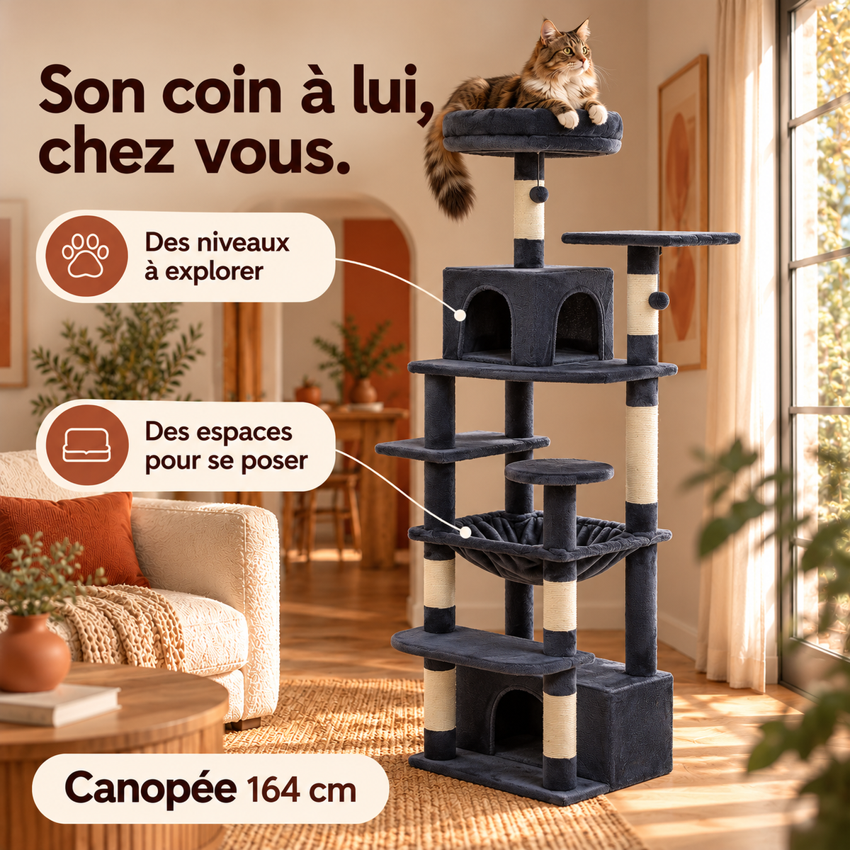 Canopée — vue explicative 4, illustration du produit