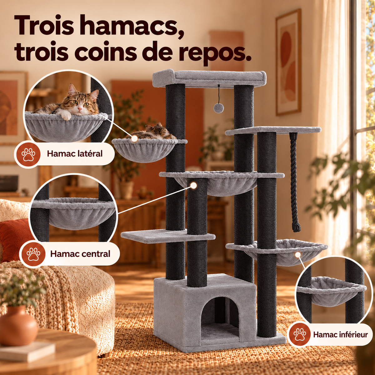 Griffova sequoia-60056218272078 — vue explicative 3, illustration du produit