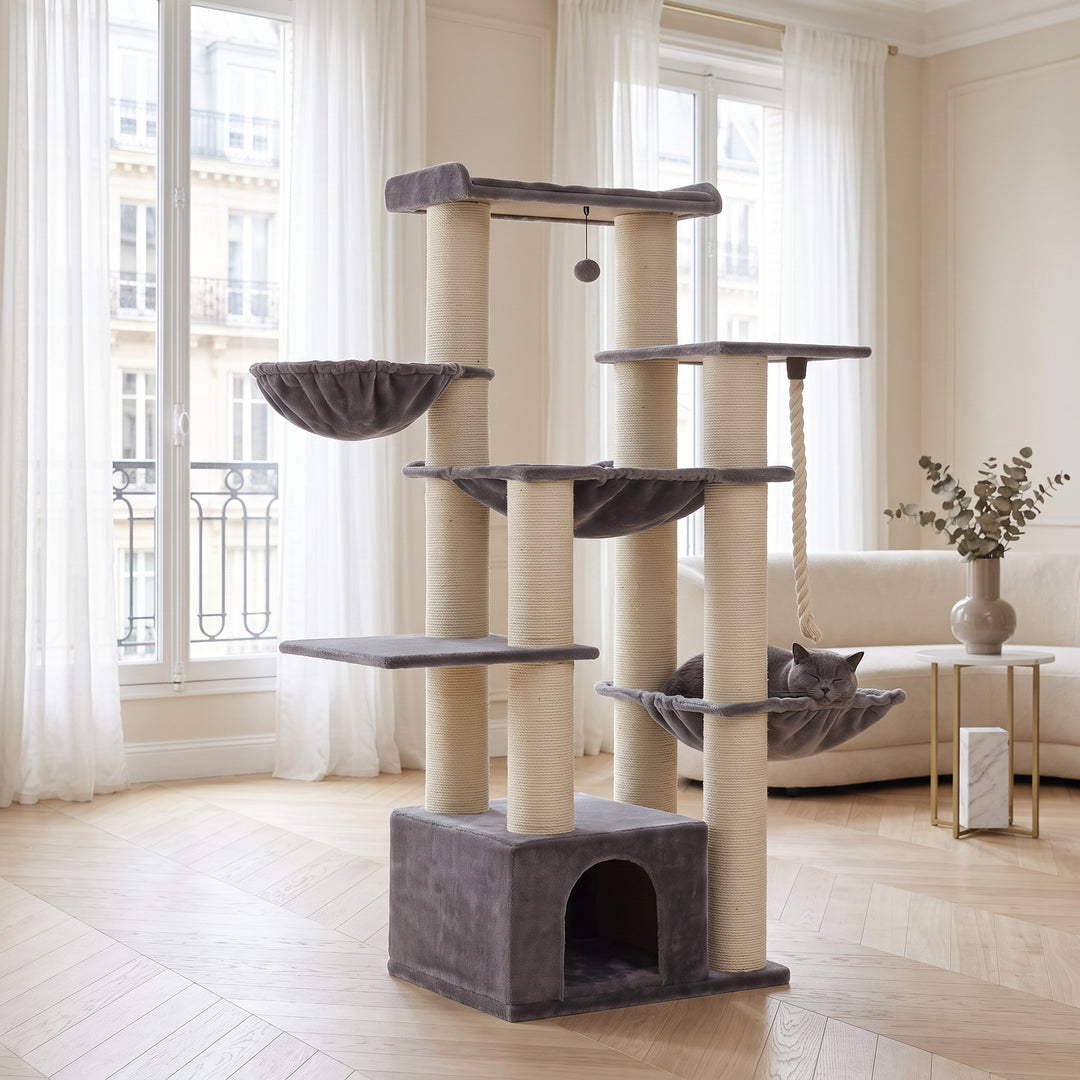 Grand arbre a chat Maine Coon gris en situation dans un salon parisien avec chat - Griffova Sequoia